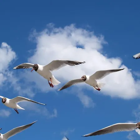 基尔希斯坦酒店 3*